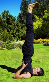 shoulderstand Shoulderstand - Sarvangasana Yoga Pose